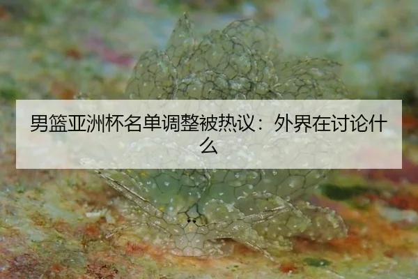 男篮亚洲杯名单调整被热议：外界在讨论什么（leyu）