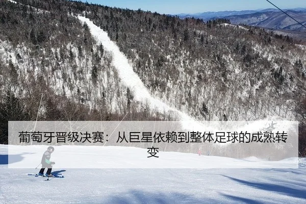 pu-tao-ya-jin-ji-jue-sai-cong-ju-xing-yi-lai-dao-zheng-ti-zu-qiu-de-cheng-shu-zhuan-bian-2-607.jpg